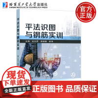哈工大 平法识图与钢筋实训 金志辉 蒋璐蔚 陈坤 混凝土结构施工图平面整体表示方法 哈尔滨工业大学出版社