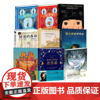 萤火谷的梦想家 一个孩子的诗园隧道的森林恶作剧奶奶冰龙瓦嘉达的自行车小学生阅读儿童文学 一个孩子的诗园