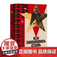 [正版]钢铁是怎样炼成的 原著正版完整版 初中正版原著八年级下册阅读名著 语文初二课外阅读书8下配套经典长谈 作家经典