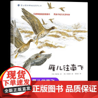 雁儿往南飞 幼儿园绘本书阅读3-4-6岁 儿童科普读物科学启蒙睡前故事书 老师三到四五岁宝宝启蒙阅读图书儿童启蒙故事书籍
