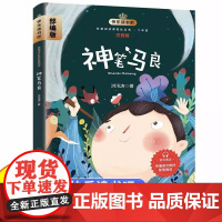 全4册 快乐读书吧二年级下册人教版必读课外书注音版神笔马良七色花金波讲故事愿望的实现小学二2下阅读课外书必读书目