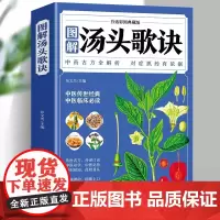 正版 图解汤头歌诀 白话彩图典藏版中医学基础理论中药中医书中医基础理论本草纲目皇帝内经中医养生书籍大全本店书