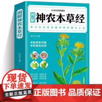 正版 神农本草经原版全彩图解典藏版正版原文注释译文 中医基础理论入门书籍大全启蒙中草药药方诊断学自学养生