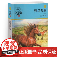 野马归野 动物小说大王沈石溪品藏书系新版 7-10-14岁儿童动物故事读物书 小学生课外书 三四五年级课外阅读故事书籍