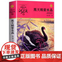 黑天鹅紫水晶 升级版 动物小说大王沈石溪品藏书系 正版 四年级课外阅读书目 小学生儿童文学 课外读物书籍