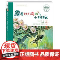 正版童书 露着衬衫角的小蚂蚁 世界儿童文学典藏馆 昆虫王国曲折生动的传奇经历 尊重并善待每一个小生命 热爱并呵护大自然