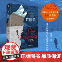 荒原狼全新译本 诺贝尔文学奖得主黑塞代表作外国经典小说一部反对平庸的勇气诗篇 外国经典长篇诺贝尔文学奖得主黑塞自传式小说