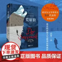 荒原狼全新译本 诺贝尔文学奖得主黑塞代表作外国经典小说一部反对平庸的勇气诗篇 外国经典长篇诺贝尔文学奖得主黑塞自传式小说