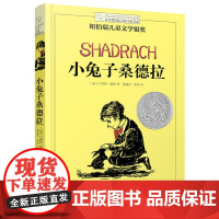 正版 小兔子桑德拉 长青藤国际大奖小说书系 纽伯瑞儿童文学奖作品 9-12-15岁小学生课外阅读书籍四五六年级读物童