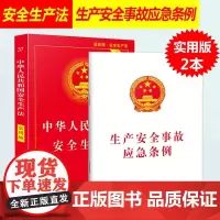 正版2024适用中华人民共和国安全生产法实用版法条 2021年6月修订新版安全事故应急条例含典型案例消防应急救援法条法规