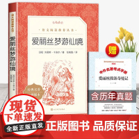 爱丽丝梦游仙境六年级下册必读课外书原著正版人民文学出版社爱丽丝漫游奇境记小学生三年级四五年级课外阅读书籍快乐读书吧