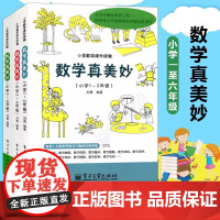数学真美妙 1-6年级 全3册 123456年级小学数学课外阅读书 小学趣味数学 小学数学辅导书 小学数学知识大全 刘勇