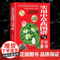 正版 实用中草药图谱与应用手册彩图版中草药书籍大全 图解中草药材中药配方大全中药材图谱中医养生基础理论书籍中草药材图鉴大
