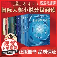 正版童书 国际大奖小说·分级阅读四星(新版 共25册)新蕾出版社一二三年级小学生课外阅读书籍