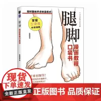 腿脚 漫画教程口袋书 人物腿脚绘画手绘 基础漫画人物腿脚教程书 二次元插画动漫 练习素材