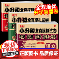 2025小升初冲刺新卷语文数学英语人教版小升初满分作文六七年级同步作文字帖升学总复习小学古诗词文言文模拟测试卷期末冲刺真
