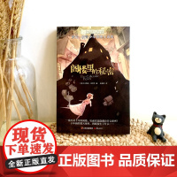 阁楼里的秘密长青藤国际大奖小说书系三四五六年级小学生课外阅读