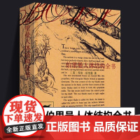 [正版]伯里曼人体结构全书袖珍版便携小开本 人体人物绘画教学素描大师速写临摹基础入门技法教程动漫画手解剖 美术艺考书籍