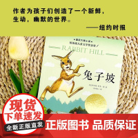 兔子坡 书 国际大奖小说升级版 纽伯瑞儿童文学奖金奖作品二三四年级课外书儿童读物青少年小说童书小学生课外书籍童话故事书