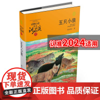五只小狼 升级版 动物小说大王沈石溪品藏书系 青少年课外启发读物 9-10-11-12岁小学三四五六年级儿童文学故事书