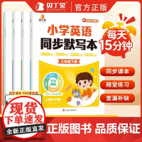 2025贝丁兔小学英语同步默写本人教版小学三四五六年级下册同步英语课本默写本小学生专项训练练习题英语单词词汇句子预复习一