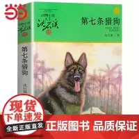 第七条猎狗动物小说大王沈石溪品藏书系狼王梦斑羚飞渡青少年课外书8-10-12-15岁四五六年级小学生课外阅读书籍经典书目