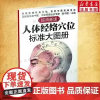 人体经络穴位标准大图册 超清晰 人体经络穴位图解书人体穴位图解大全 中医按摩经络穴位书籍 经络穴位按摩大全养生书 正版