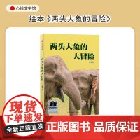 [正版新书]《两头大象的大冒险》(2024年百班千人寒假书单 四年级阅读)江苏凤凰少年儿童出版社 正版