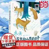 《冬天,住在长白山里的日子》2024年百班千人寒假书单 四年级阅读课外书小学生课外阅读书籍儿童文学读物寒假暑假经典书目