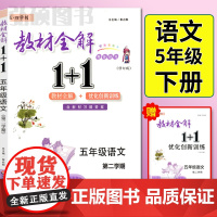 2024新版教材全解1+1 五年级下册语文5年级第二学期教材全解本优化创新训练讲注解习含习题答案五四版制华东师范大学出版