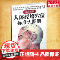 正版 人体经络穴位标准大图册 超清晰 人体经络穴位图解书人体穴位图解大全 中医按摩经络穴位书籍 经络穴位按摩大全养生书正