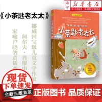 [正版]小茶匙老太太 夏洛书屋·经典版[挪威]普廖申著 任溶溶译 挪威家喻户晓童话杰作奇幻人性温暖文笔诗意 上海译文