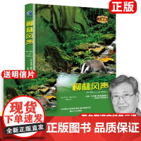 [正版精装]柳林风声()无删减原著原版 英肯尼斯·格雷厄姆 著 杨静远 译小学生课外书阅读书籍书籍
