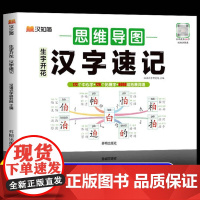 生字开花汉字速记速写思维导图小学生汉字升级版识字书幼儿启蒙认字卡片趣味拼图轻松儿童学字神器练习本练习册手卡语文生字预习卡