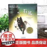 石狐 小说·注音版 国际大奖小说注音版系列小学生一二三四年级课外阅读书籍6-9-12周岁带拼音的青少儿童成长励志童话故事