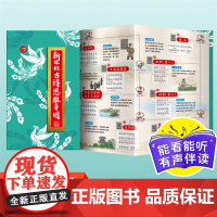 正版书籍 四大名著思维导图画册水浒传三国演义红楼梦西游记四大名著导读中小学生漫画书拉页人物关系图轻松看懂四大名著