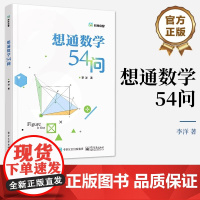 想通数学54问 初中通用二进制数怎么转换方程函数图形教程书籍 青少年数学思维训练 数学计算技巧 解题方法与技巧