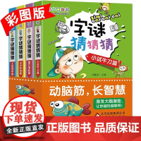 猜字谜书一年级猜字谜的书大全 字谜猜猜看谜语字谜大全猜字谜卡片6-12岁小学生 一二三年级课外阅读书籍故事书儿童思维训练