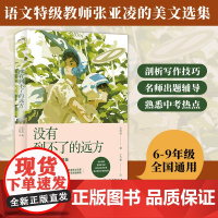 没有到不了的远方 中考语文热点作家作品解析 语文教师张亚凌的美文选集 6789年级通用初中生语文作文阅读书目 中国友谊出