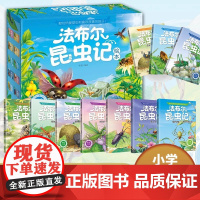 法布尔昆虫记注音版精品盒装全10册一二三四五年级小学生阅读经典科普课外书原著正版绘本故事书儿童百科全书
