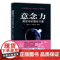 意念力激发你的潜在力量 大卫R霍金斯人类意识能量学经典之作心想事成青春励志书籍人际交往心理学成功学潜意识的力量