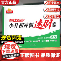 2025阳光同学小升初冲刺速刷卷4轮冲刺小升初总复习分类试卷小升初真题新卷语文数学英语名校冲刺历年真题试卷六年级小升初总