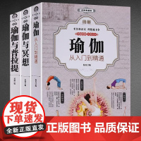 正版 全3册 图解瑜伽 彩图典藏版从入门到精通 快速入门养心强身 瑜伽健身技巧与方法全彩书籍