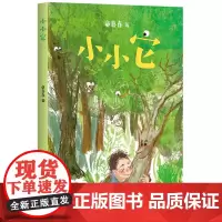 正版 小小它 童喜喜嘭嘭嘭系列儿童文学三四五年级课外阅读动物奇幻想童话寓言故事小说影之翼幽灵公主类似题材