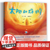太阳和蜉蝣 两个迥异生命之前的对话 即使了解生命的答案仍然可以活的热烈儿童哲学启蒙绘本图画故事书籍生命的意义读物