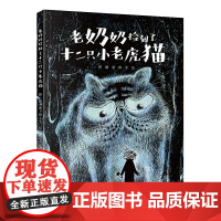 老奶奶捡到了十二只小老虎猫(2024年百班千人寒假书单 )彭懿著 二年级百班千人祖庆说大阅小森正版 小学生课外书阅读书籍