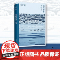 我的世界下雪了 迟子建散文系列作品 极地的生活世界的文学 温暖与百感交集的旅程 茅盾文学奖得主迟子建散文自选集书籍