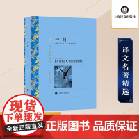 神曲 但丁著 朱维基译 译文名著精选 世界名著 意大利文学小说书籍 名著经典读物 中古文化 上海译文出版社 正版