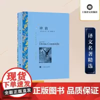 神曲 但丁著 朱维基译 译文名著精选 世界名著 意大利文学小说书籍 名著经典读物 中古文化 上海译文出版社 正版