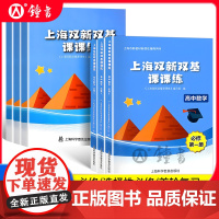 上海双新双基课课练 高中数学必修1必修2必修3 第一二三册选择性必修高考上海版配套辅导用书 高中高一高二数学必修一二三